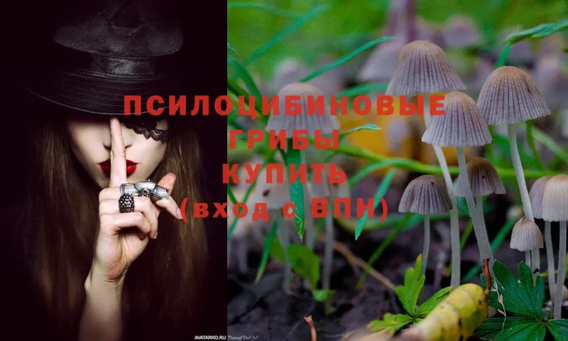 Псилоцибиновые грибы Magic Shrooms Унеча